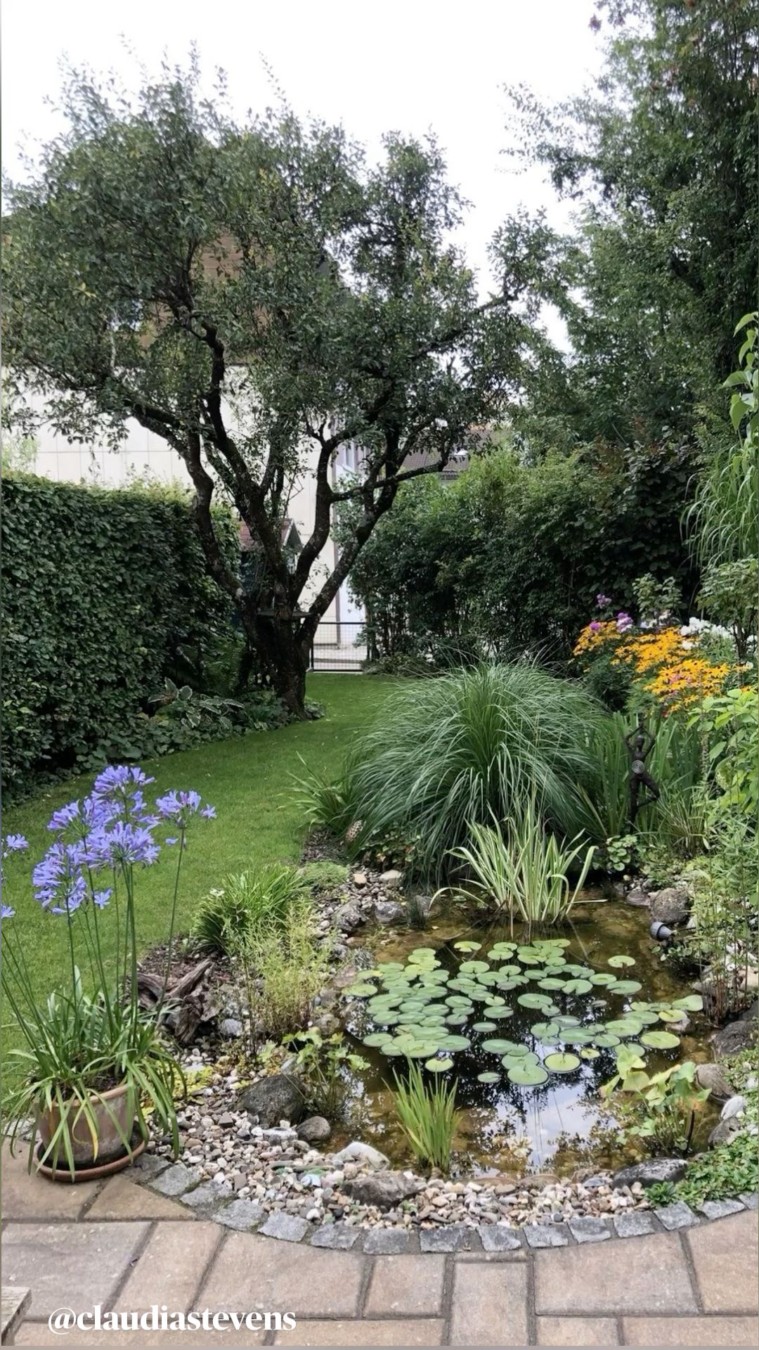 Creating a Charming Oasis in Your Backyard: A Guide to Installing a Small Garden Pond
