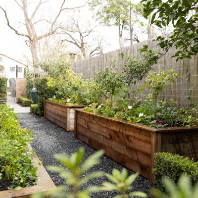 Creating a Charming Side Yard Garden: Ideas and Inspiration