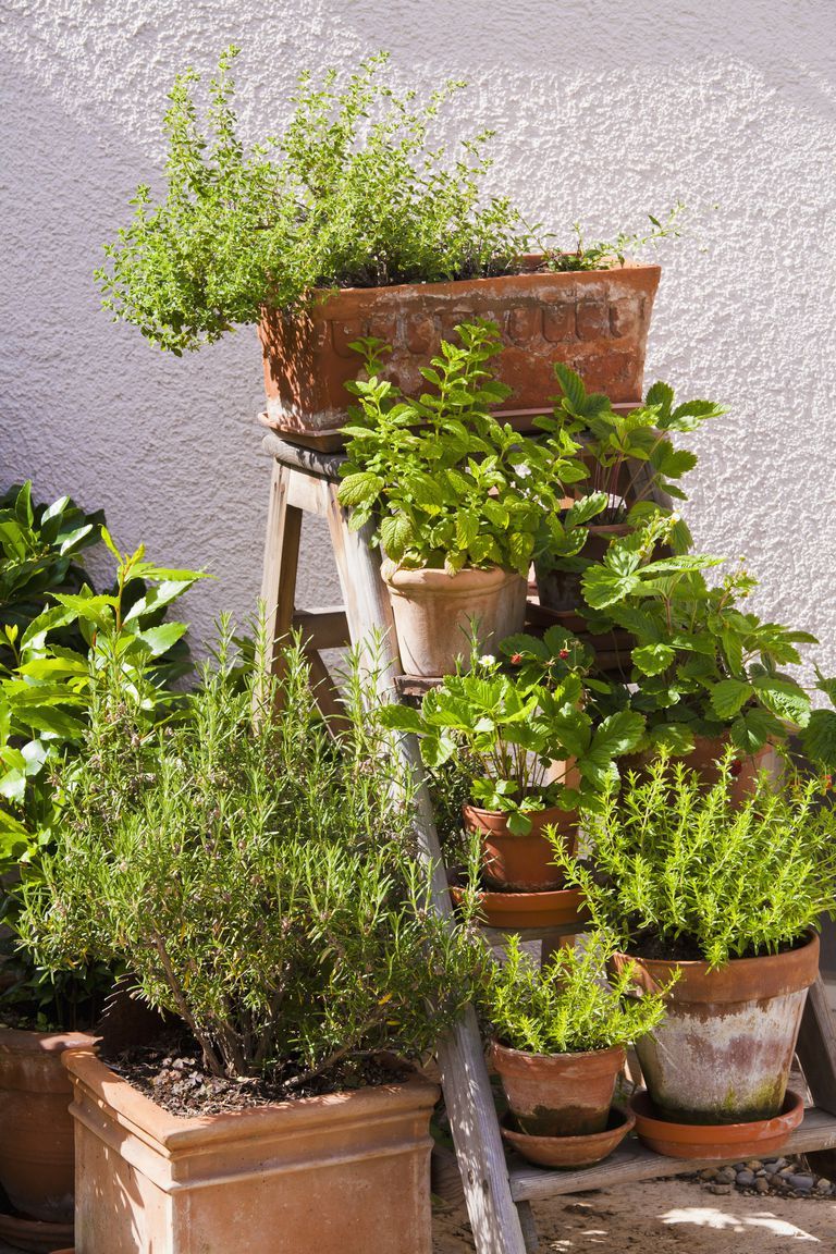 Creating a Compact Oasis: Small Garden Design Tips for Urban Spaces