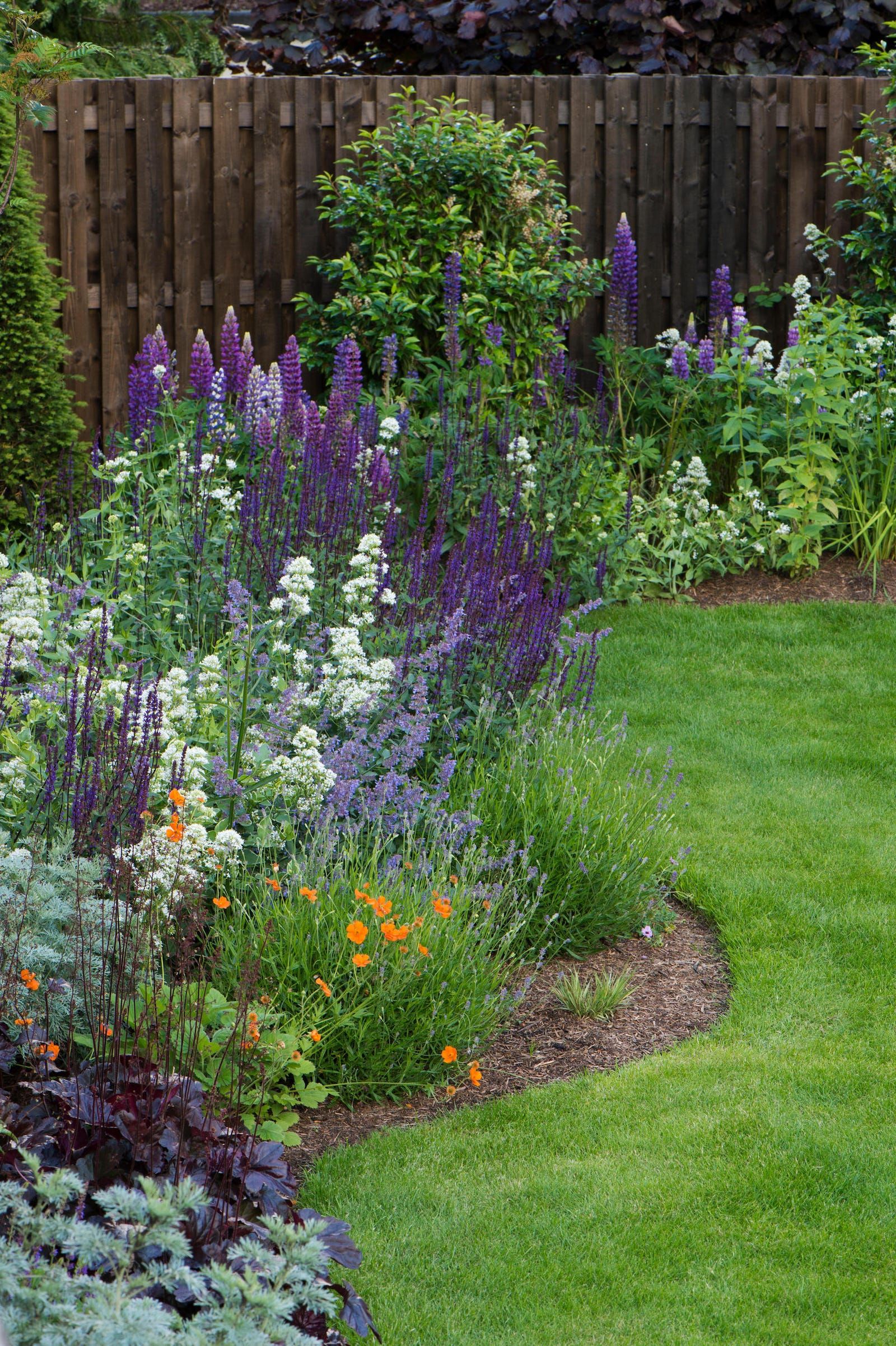 Creating a Compact and Charming Outdoor Oasis: Small Garden Design Ideas
