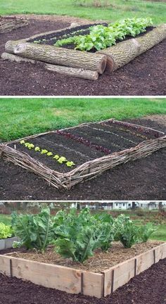Creating a Cozy Garden Bed for Compact Spaces