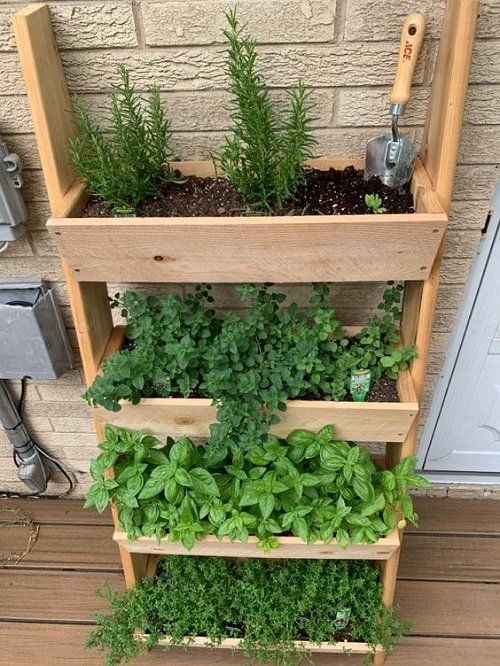 Creating a Cozy Oasis: Small Garden Ideas to Spark Your Inspiration