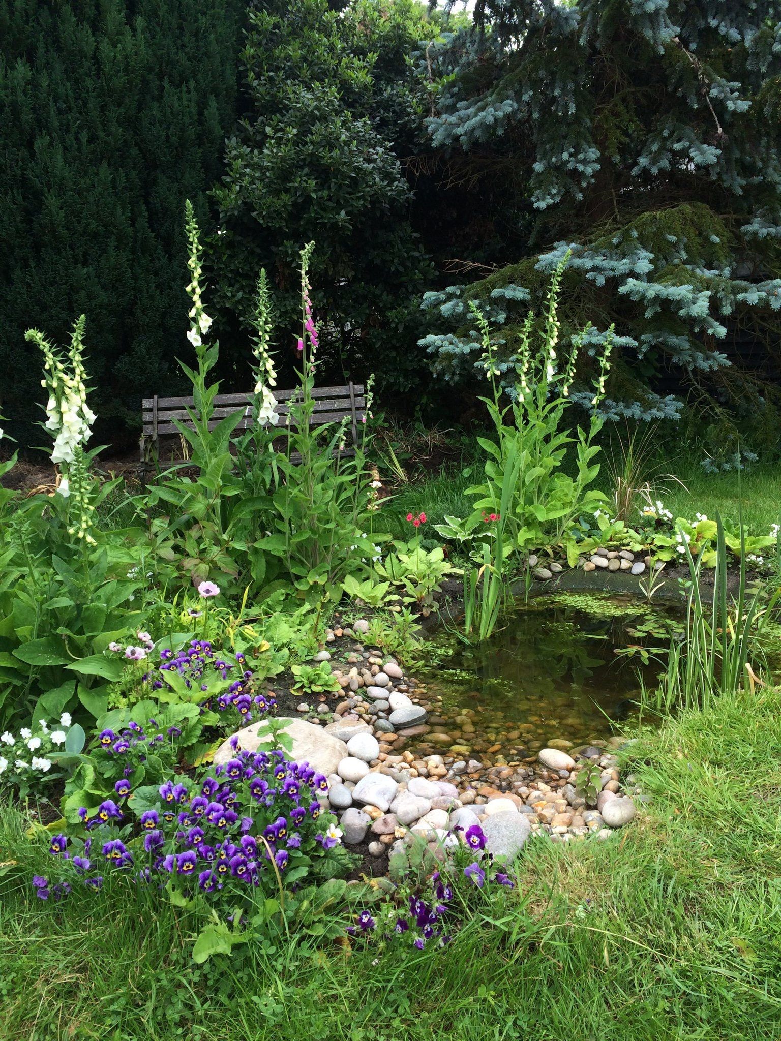 Creating a Cozy Oasis: The Beauty of a Tiny Garden Pond