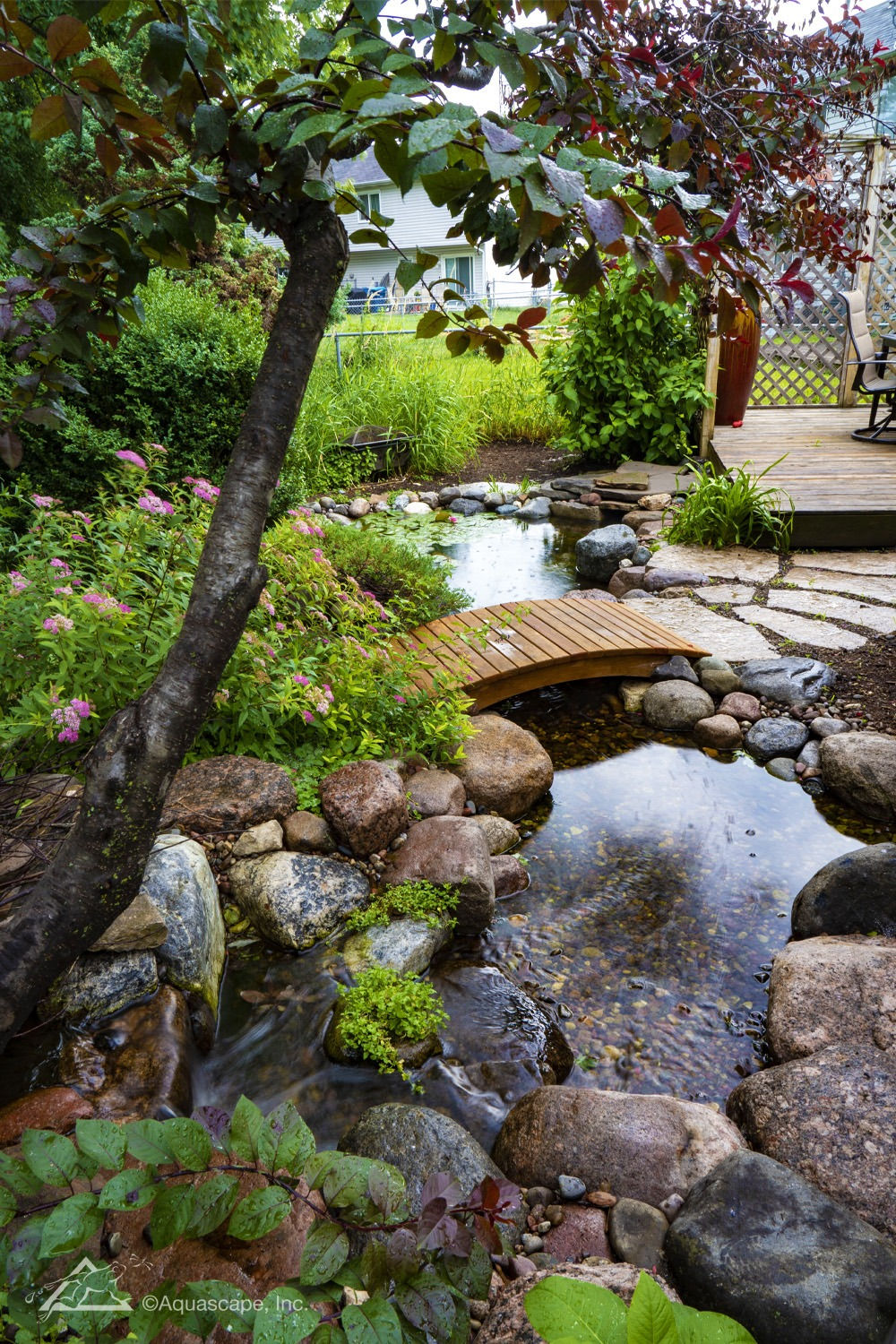 Creating a Cozy Oasis: The Charm of a Small Garden Pond