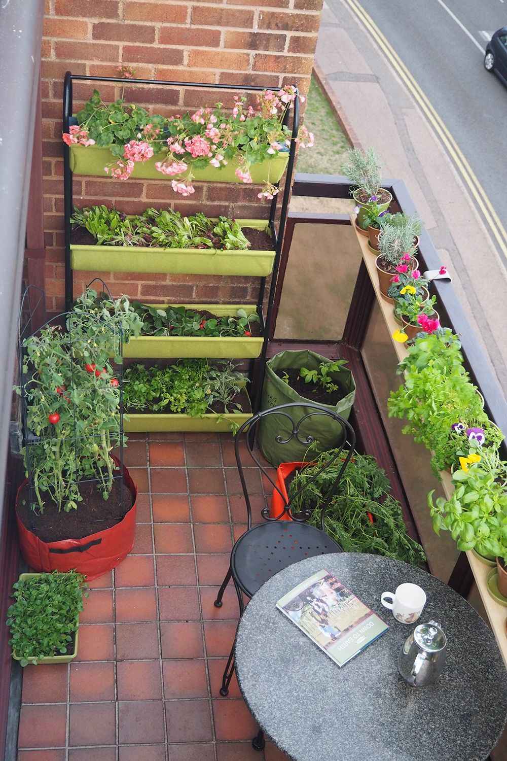 Creating a Cozy Outdoor Oasis: The Beauty of a Small Patio Garden
