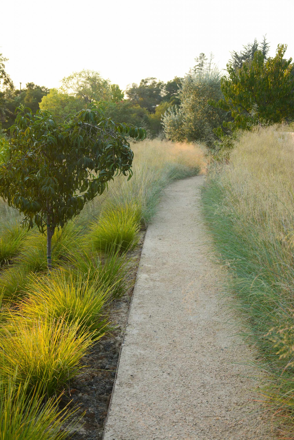 Creating a Greener Future: The Benefits of Sustainable Landscaping