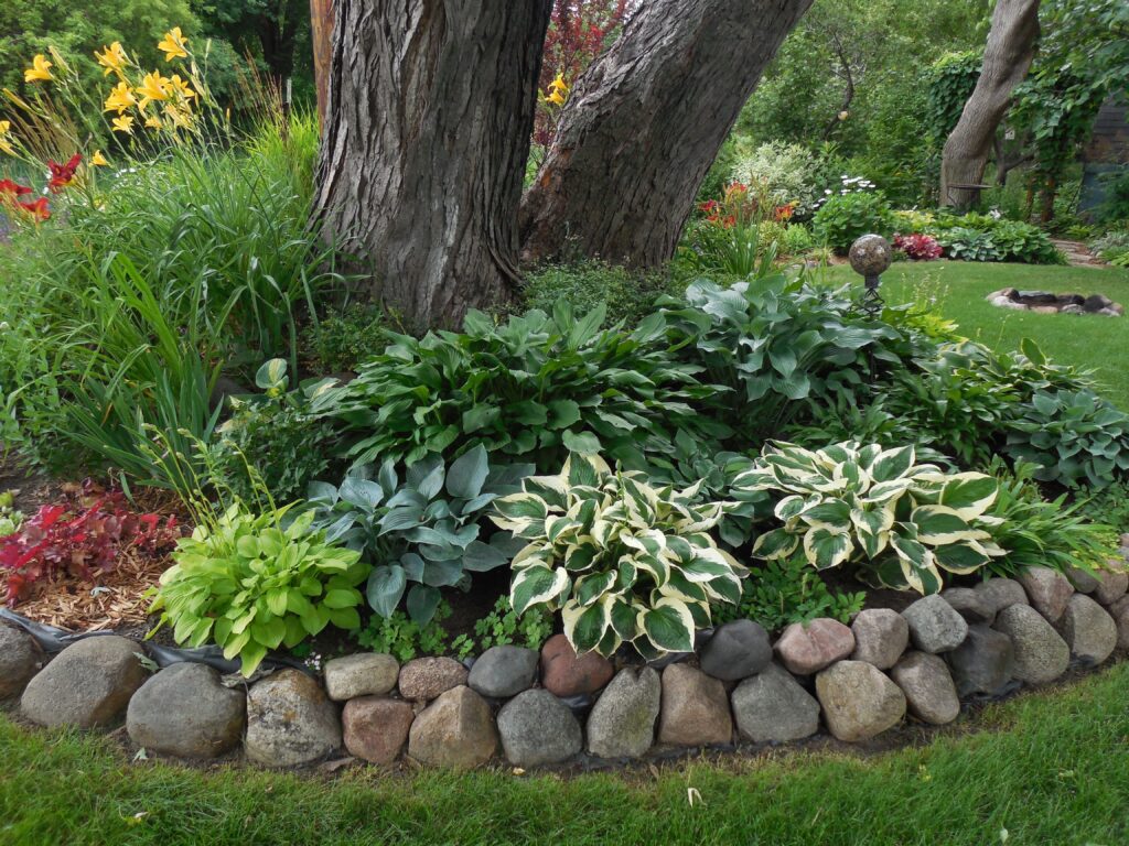 landscaping under trees