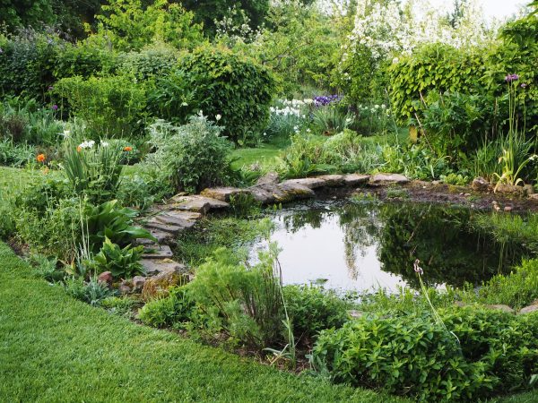 Creating a Lush Oasis: Beautiful Water Garden Ideas for Your Outdoor Space