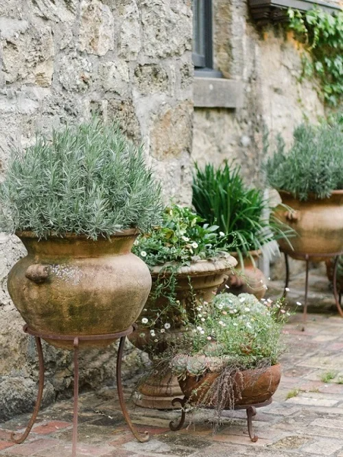 Creating a Lush Outdoor Oasis: Tips for Designing a Stunning Patio Garden