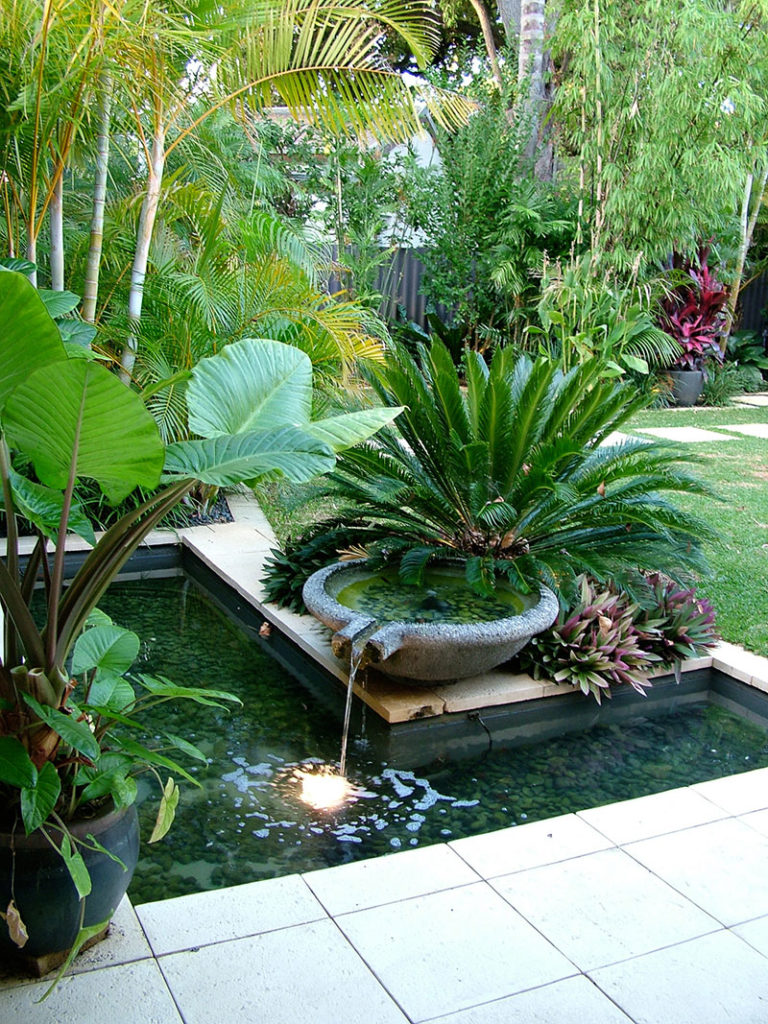 Creating a Lush Tropical Garden: A Guide to Stunning Design