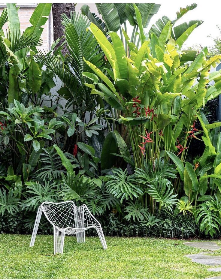 Creating a Lush and Vibrant Tropical Garden: A Guide to Tropical Garden Design