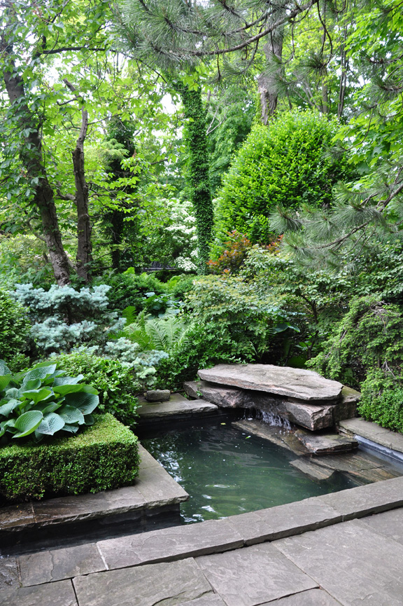 Creating a Peaceful Oasis with a Petite Garden Pond