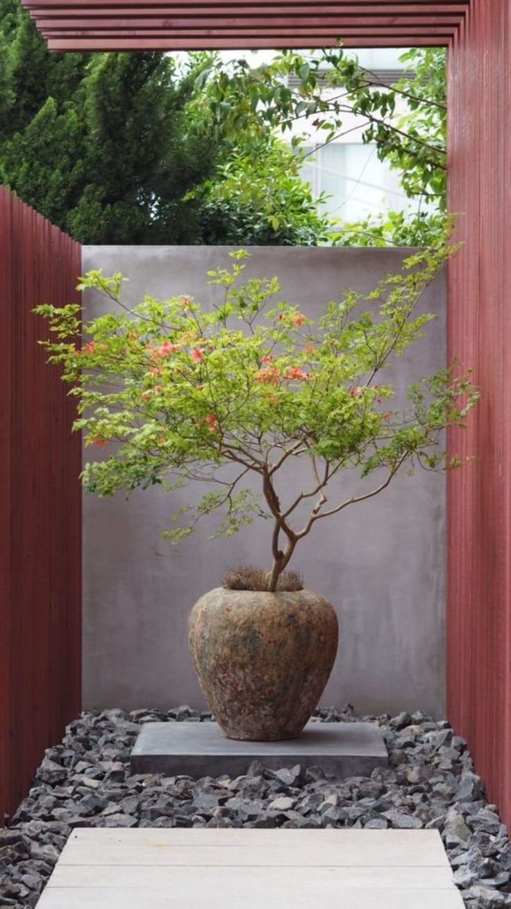 Creating a Peaceful Retreat: Small Backyard Zen Garden Inspiration