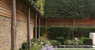 landscaping privacy ideas