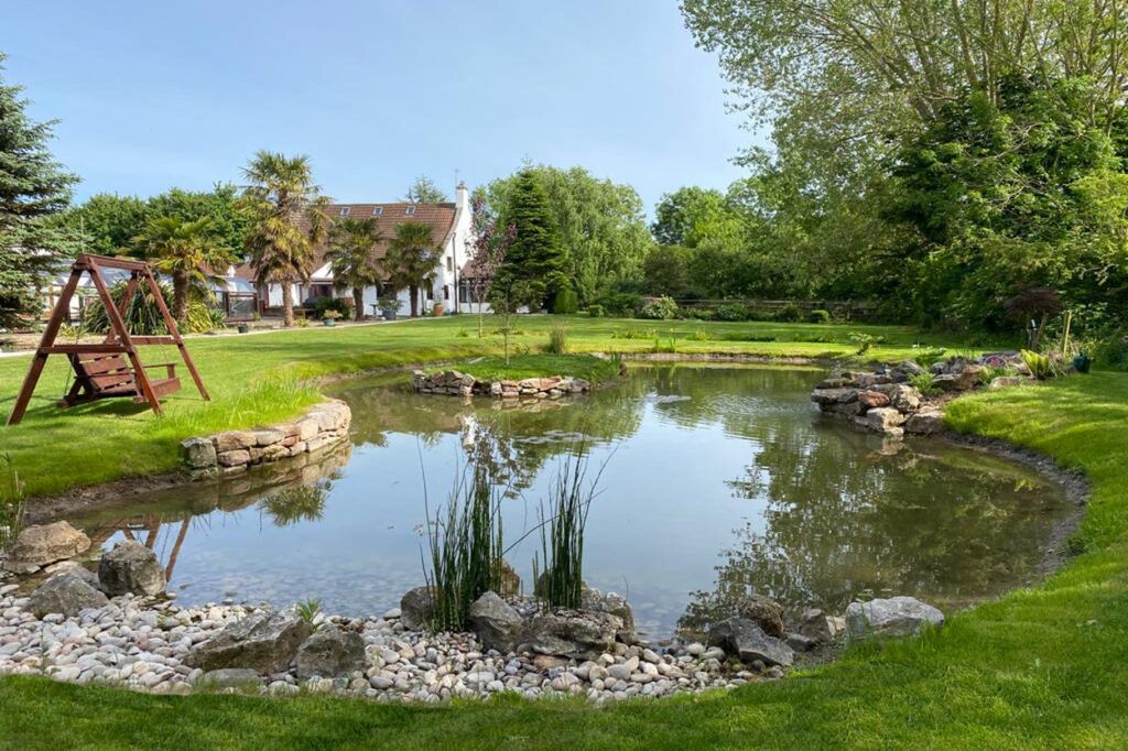 Creating a Serene Oasis: A Guide to Perfect Pond Design