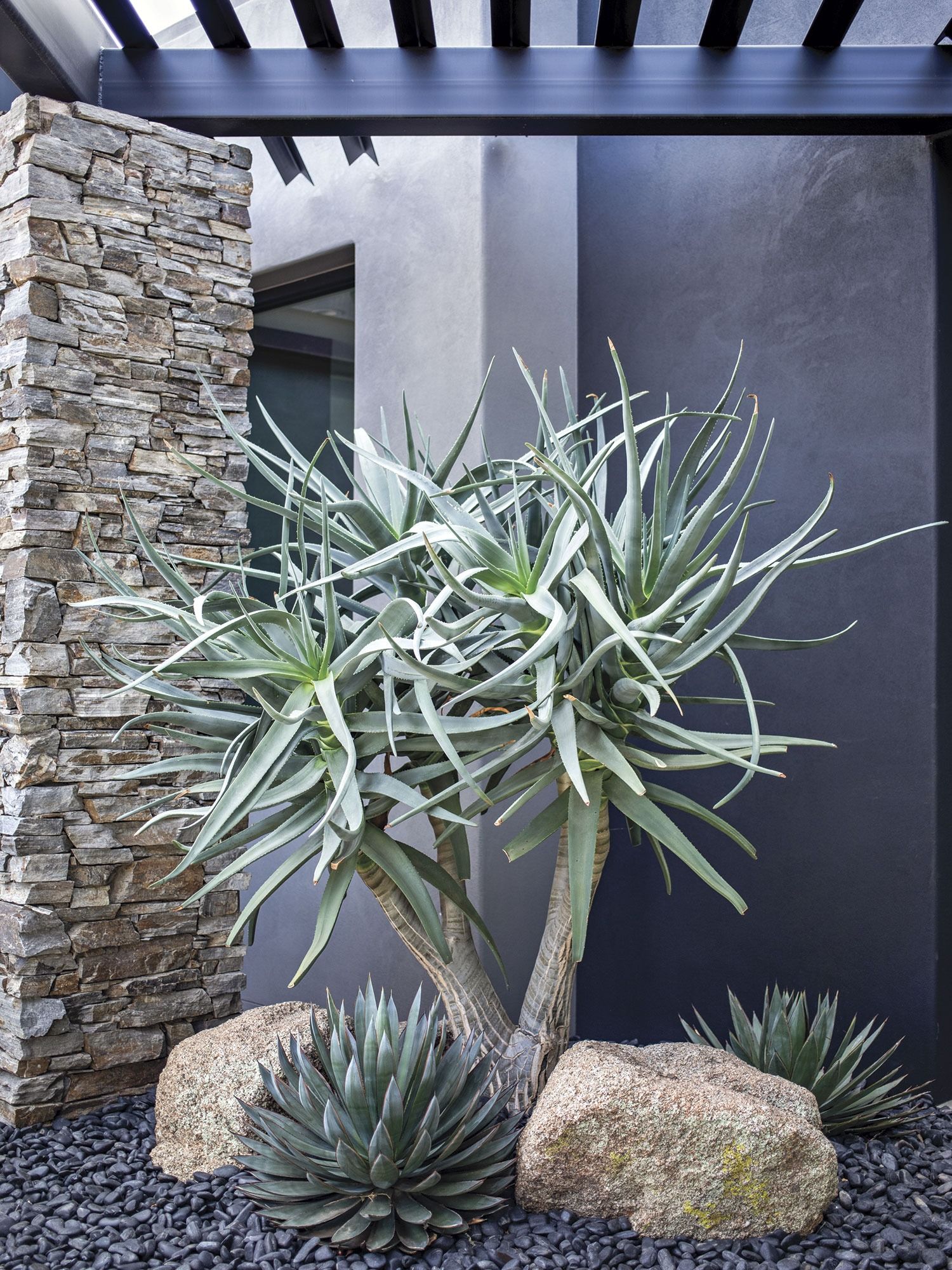 Creating a Serene Oasis: Desert Landscaping Done Right