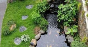 small garden pond