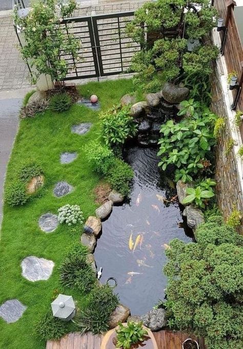 Creating a Serene Oasis with a Compact Garden Pond