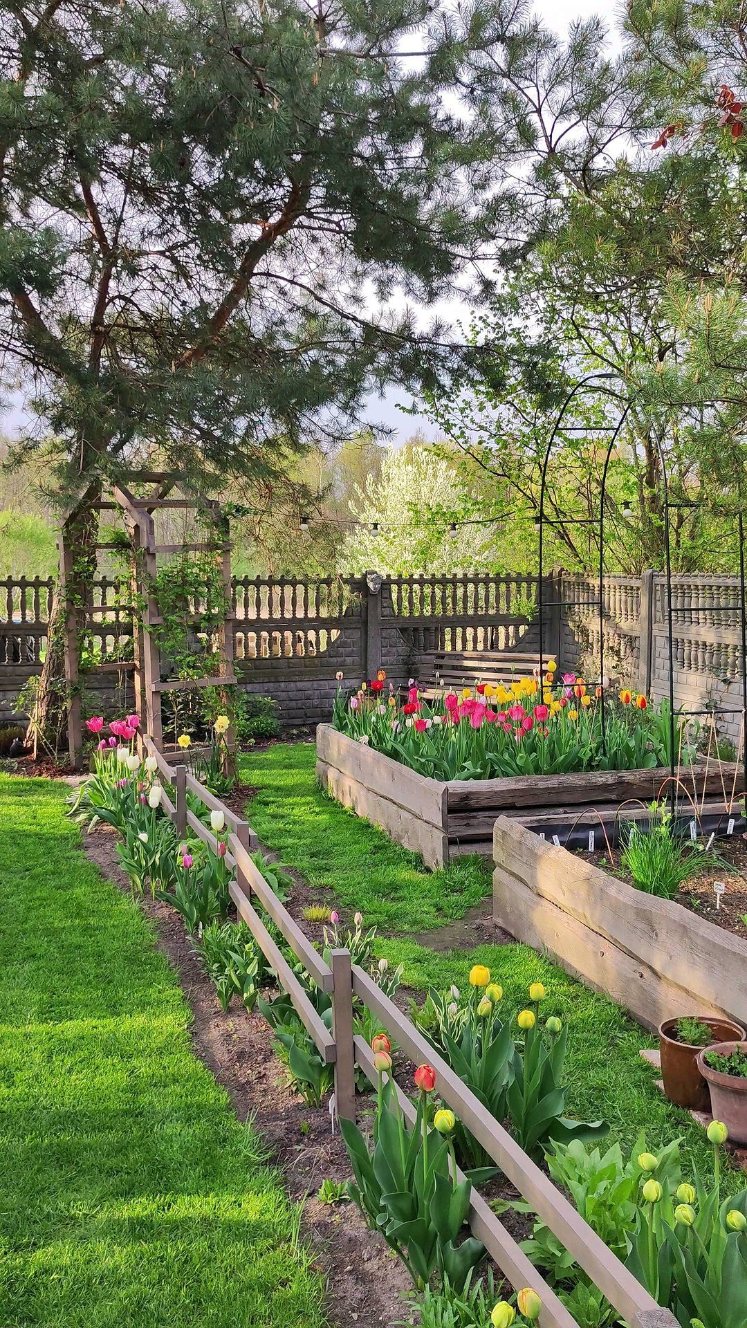 Creating a Serene Outdoor Oasis: Garden Design Tips for Your Backyard