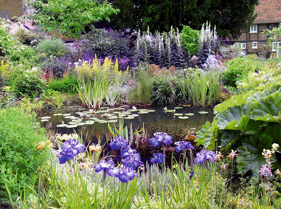Creating a Serene and Beautiful Pond for Your Garden