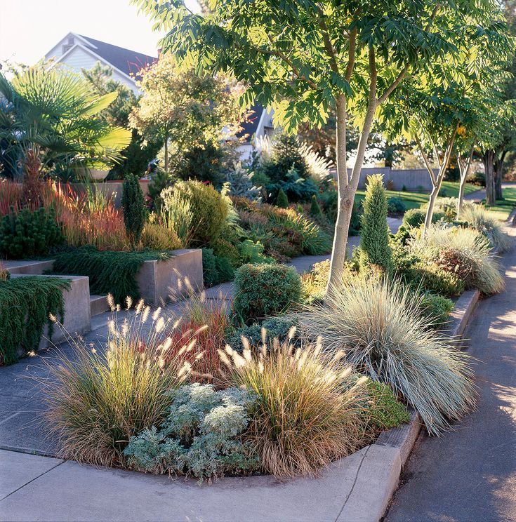 Creating a Stunning Front Yard Garden Design: Tips and Ideas