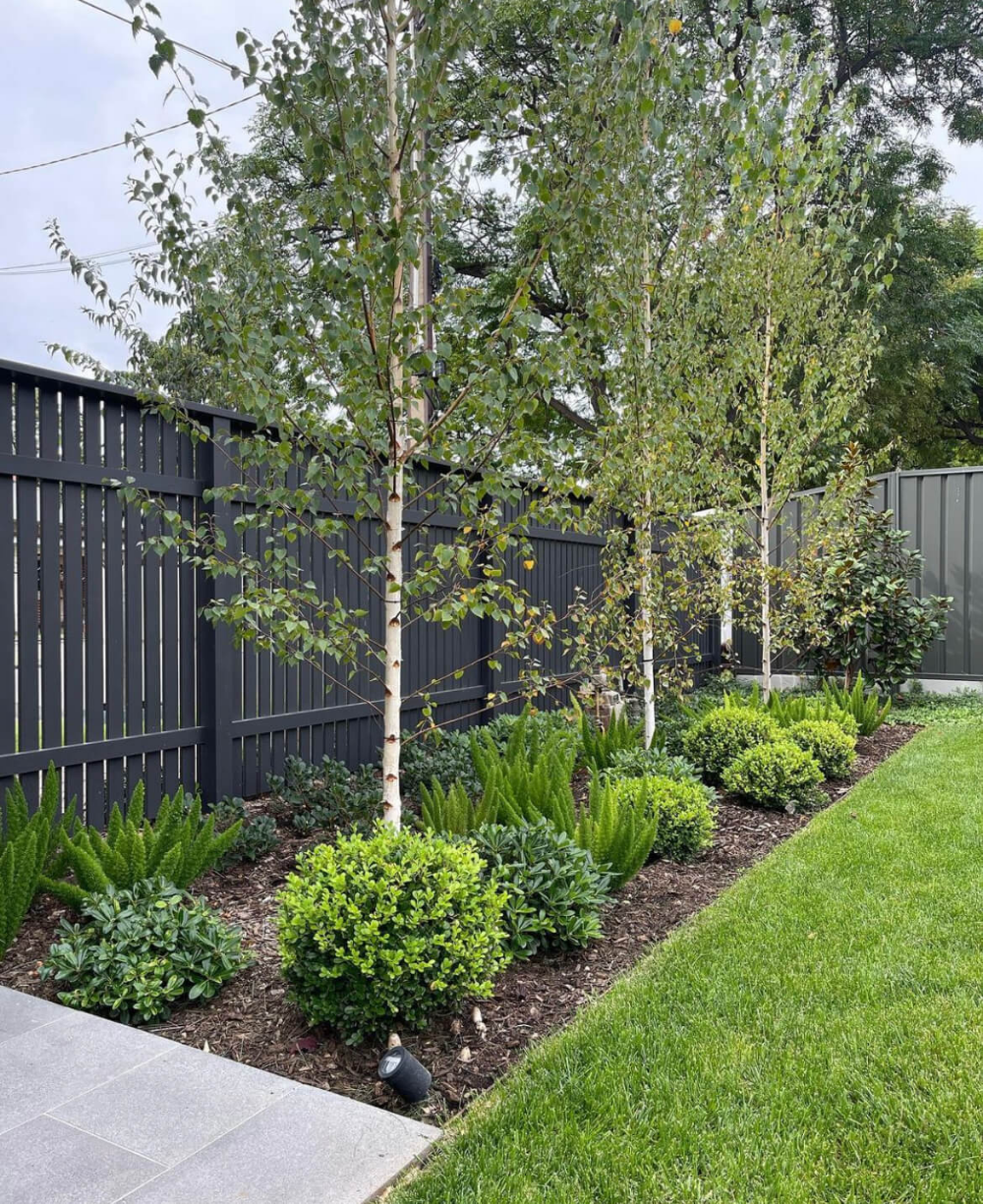 Creating a Stunning Front Yard Landscape: A Guide to Design Layout