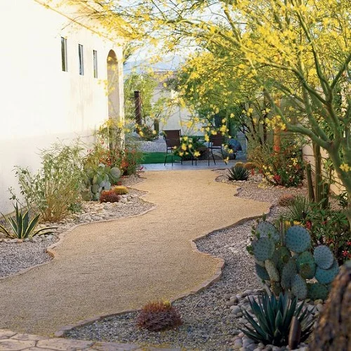 Creating a Stunning Oasis: A Guide to Desert Landscaping