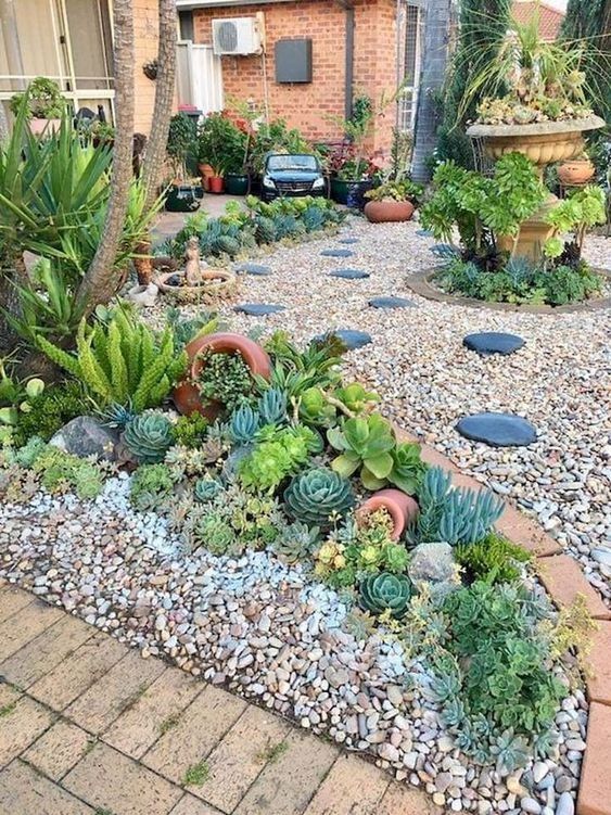 Creating a Stunning Succulent Rock Garden
