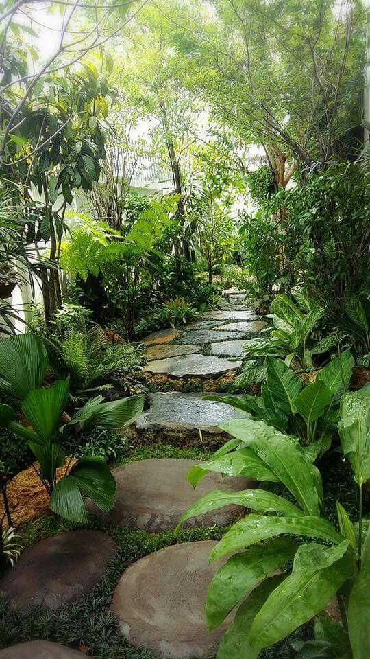 Creating a Stunning Tropical Garden: Tips for Designing Your Perfect Outdoor Oasis