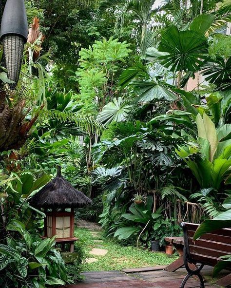 Creating a Stunning Tropical Garden