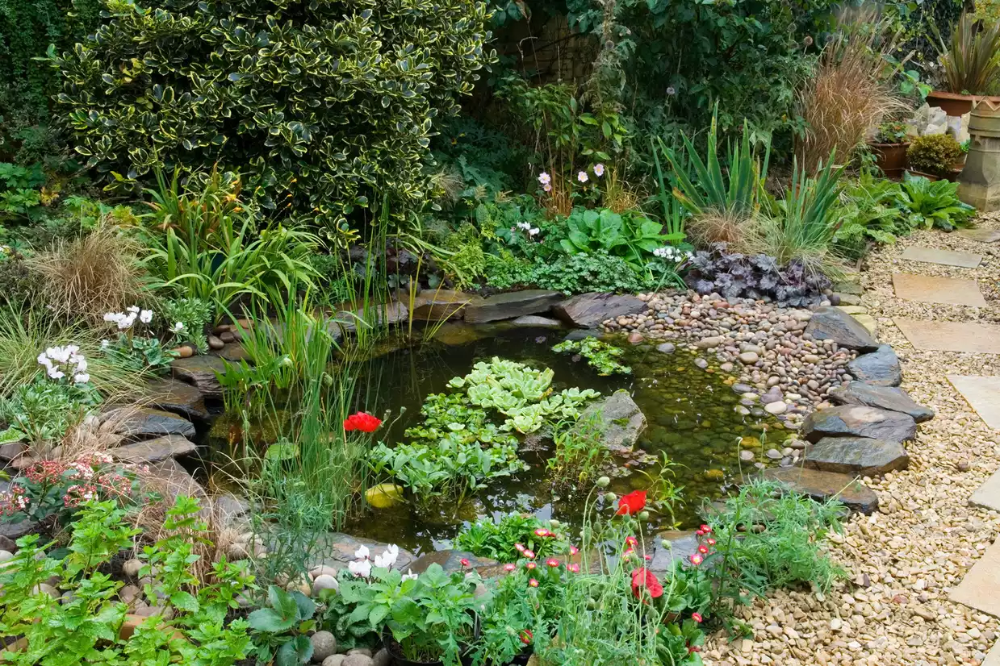 Creating a Tranquil Oasis: The Beauty of a Miniature Garden Pond