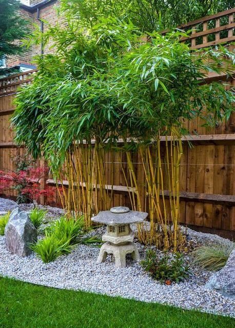 Creating a Tranquil Sanctuary: Zen Garden Ideas for Your Backyard
