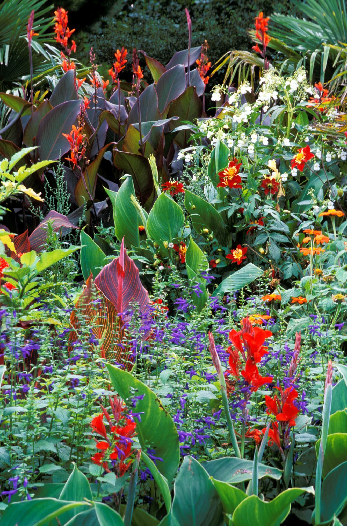 Creating a Tropical Paradise: A Guide to Stunning Garden Design
