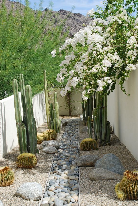 Creating a drought-resistant oasis: The beauty of desert landscaping