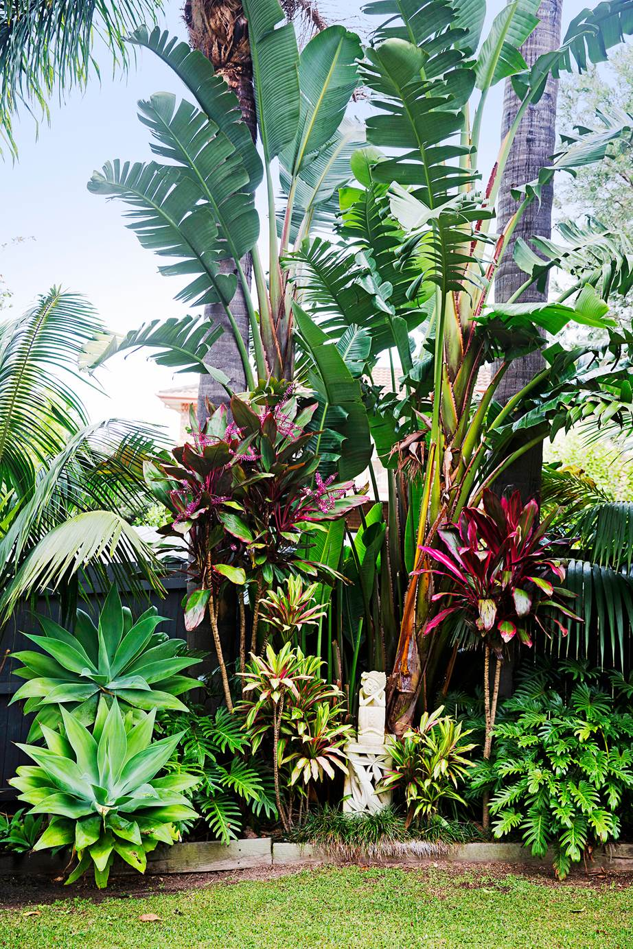 Creating a lush and vibrant tropical oasis: Tips for designing a stunning garden