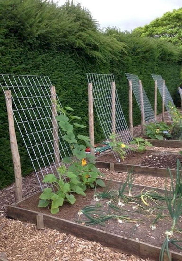 Creating an Inviting and Productive Vegetable Garden Layout
