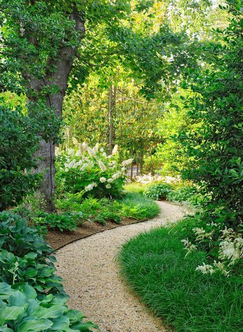Creating the Perfect Garden Path: A Practical Guide for Your Outdoor Space