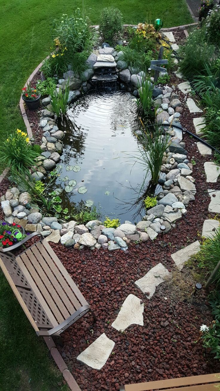Creating the perfect pond in your backyard: A guide to stunning and natural design