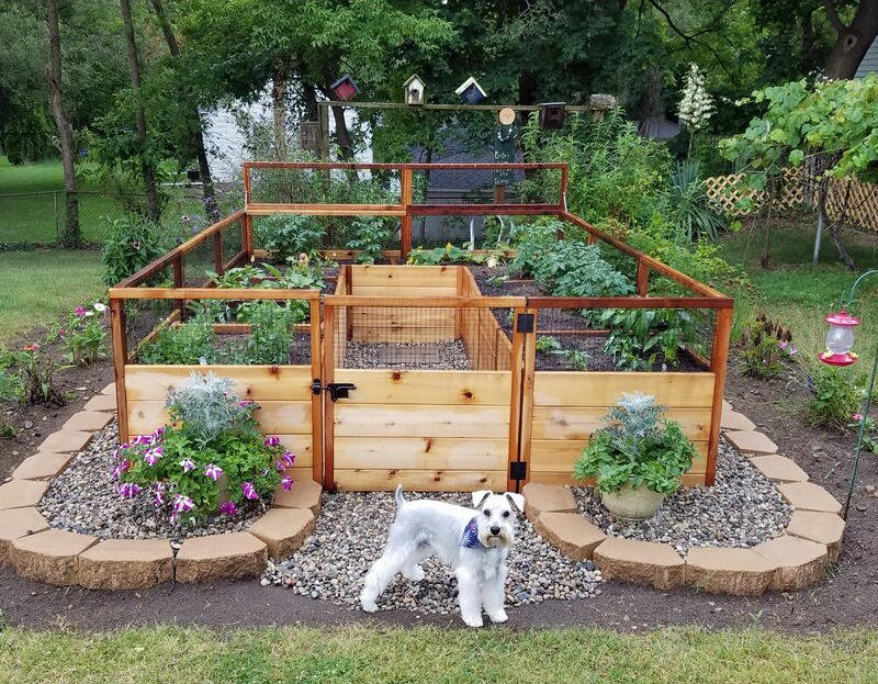 Creative Boundaries: Innovative Dog Fence Ideas for Your Backyard