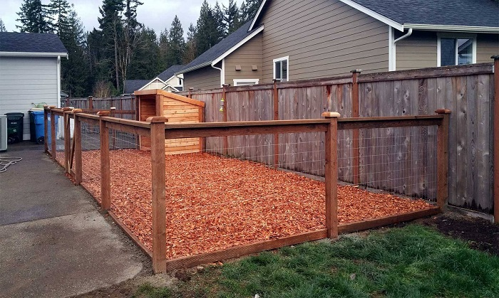Creative Dog Fence Designs for All Backyards