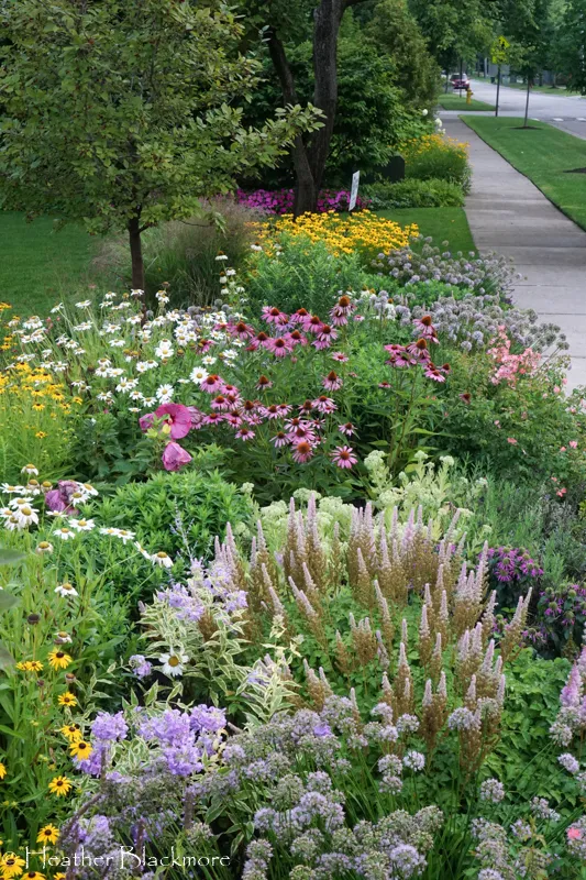 Creative Front Yard Garden Ideas for Beautifying Your Outdoor Space