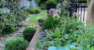 front yard garden ideas