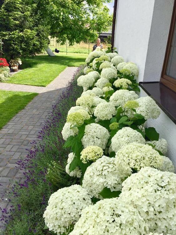 Creative Front Yard Garden Inspirations for a Beautiful Outdoor Space