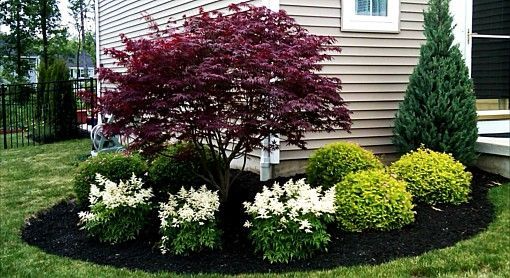 Creative Front Yard Landscaping Ideas for Compact Spaces