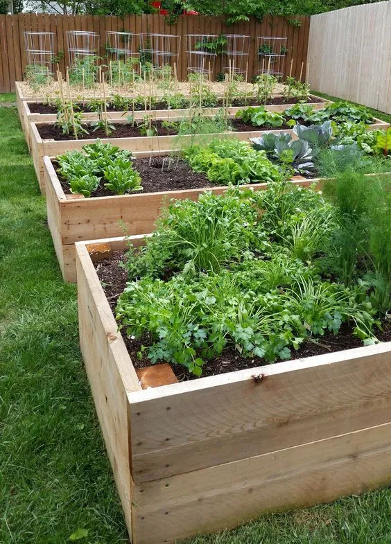 Creative Garden Planter Box Ideas for Enlivening Your Outdoor Space