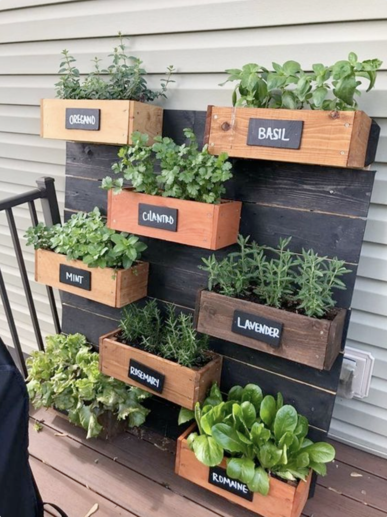 herb garden ideas