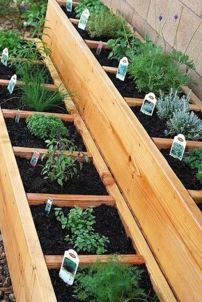 Creative Herb Garden Ideas for Every Space