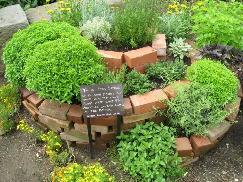 Creative Herb Garden Plans for a Beautifully Green Thumb