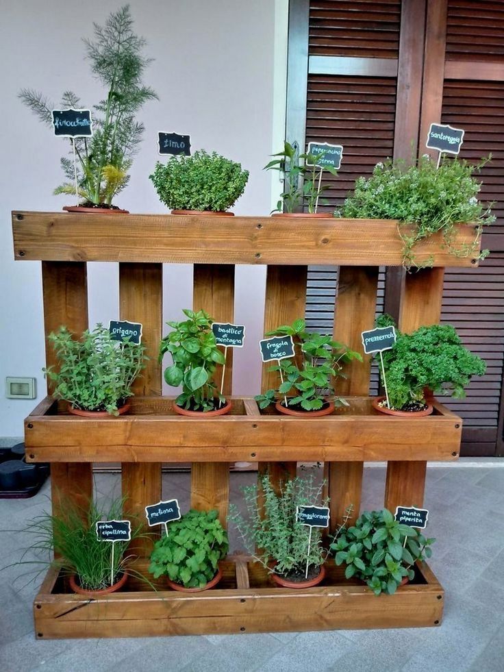 Creative Herb Gardening Ideas to Elevate Your Outdoor Space