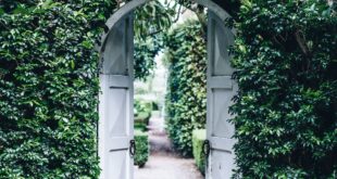 small garden gate ideas